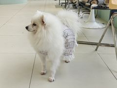 -怪兽屋·羊驼·猫咖·狗咖(俊华广场店)