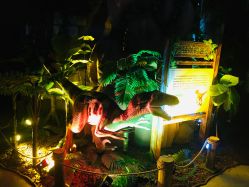 -恐龙探索乐园(磁器口店)