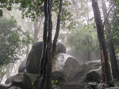 -牛背梁国家森林公园