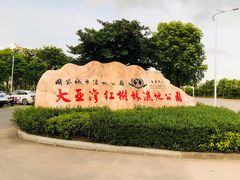 -大亚湾红树林城市湿地公园