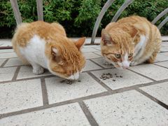 -上海海事大学(临港校区)