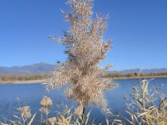 -野鸭湖国家湿地公园