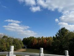 -上海海湾国家森林公园