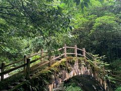 -西岭雪山大飞水景区