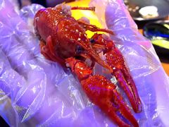-红盔甲·小龙虾(天钥桥店)