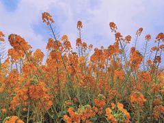 -中国天府农业博览园