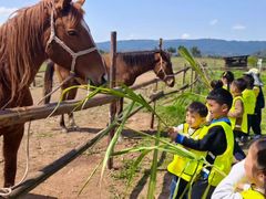 -宾果蒙特梭利托育儿童之家幼儿园(爱琴海店)