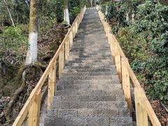 -云碧峰国家森林公园