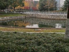-后襄河公园