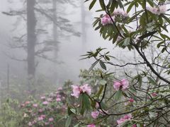 -瓦屋山景区