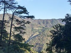 -东天目山风景区