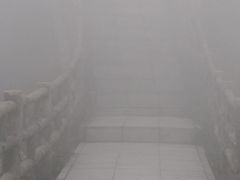 -银瓶嘴森林公园