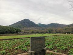 -八卦田遗址公园