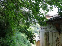 -杨家堂村