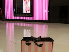 -Victoria's Secret(苏州中心全品类店)