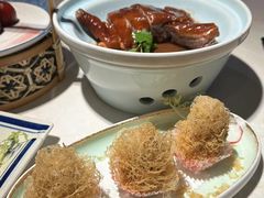 -点都德·毕德寮