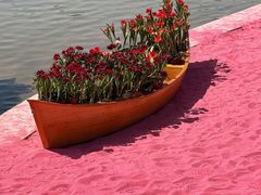 -上海鲜花港