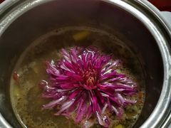 -华强阁菊花宴自助火锅店