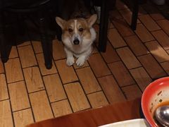 -爆炸头阿姨小四川正宗川味小吃(无任何分店)
