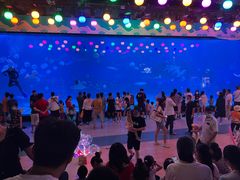 -烟台海昌鲸鲨海洋公园