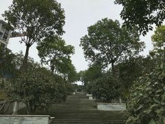 -铁山坪森林公园