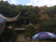 -团城山公园