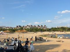 -九龙湖公园