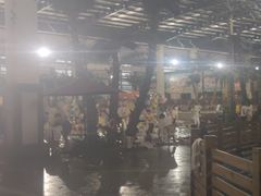 -南宫温泉水世界