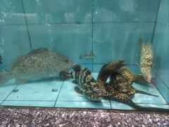 -利龙海鲜酒楼(建发·珑璟湾店)