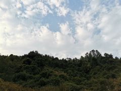 -火炉山森林公园