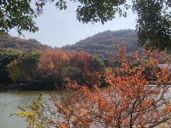 -白马涧龙池景区