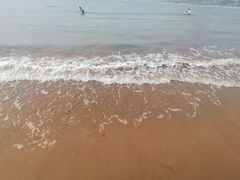 -青岛第二海水浴场