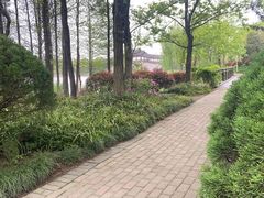-长广溪湿地公园