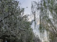 -元大都城垣遗址公园