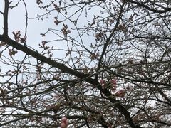 -杭州少年儿童公园