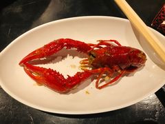 -不炭白烧烤(成都首店)