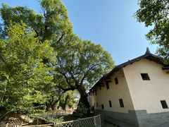 -共和国摇篮旅游区-红井景区