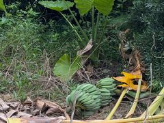 -西涌国际滨海旅游区