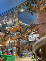 -卡通尼·Safari非洲探索乐园·生日会(金桥国际商业广场店)