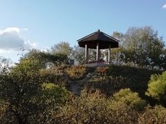 -塞罕坝国家级自然保护区