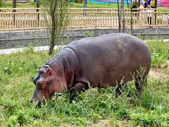 -鄂尔多斯野生动物园