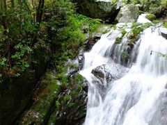 -藏龙百瀑风景区