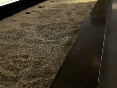 -钓鱼岛洗浴休闲会馆(卫星路店)