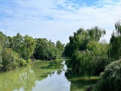 -同里国家湿地公园