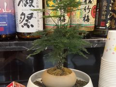 -沼津港精致料理·寿喜烧·烧鸟(龙湖南桥天街日料榜单店)