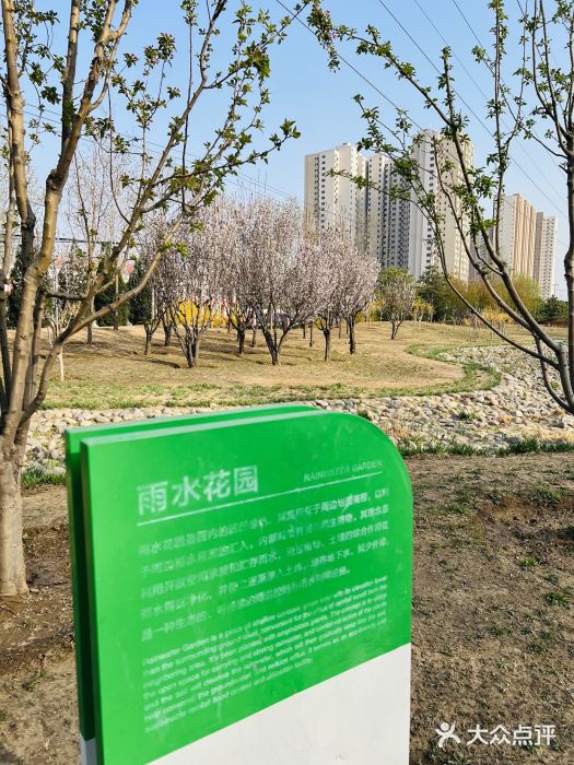 坝河休闲公园图片