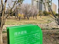 -坝河休闲公园