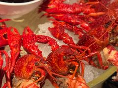 -红盔甲·小龙虾(天钥桥店)