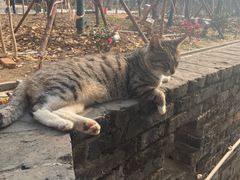 -长春观