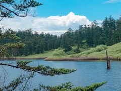 -瓦屋山景区
